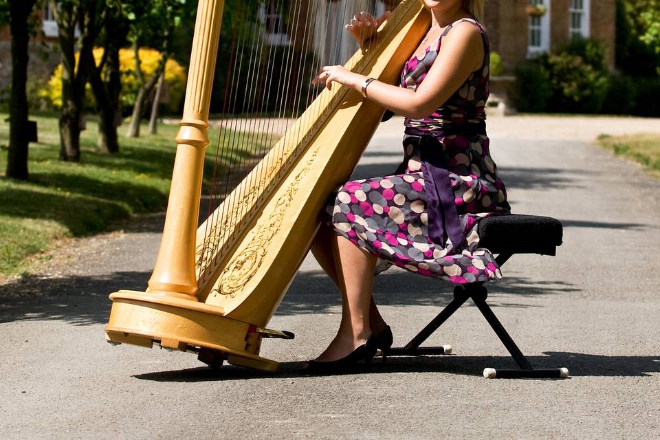 Nicola Veal - Harpist