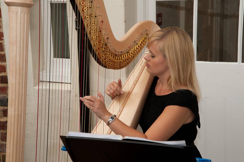 Nicola Veal - Harpist