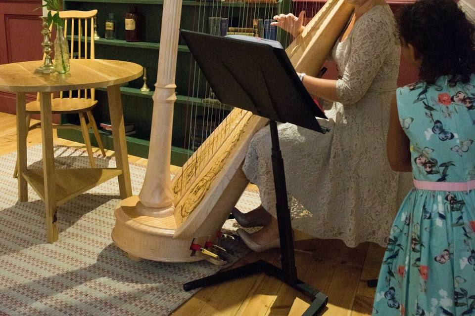 Nicola Veal - Harpist