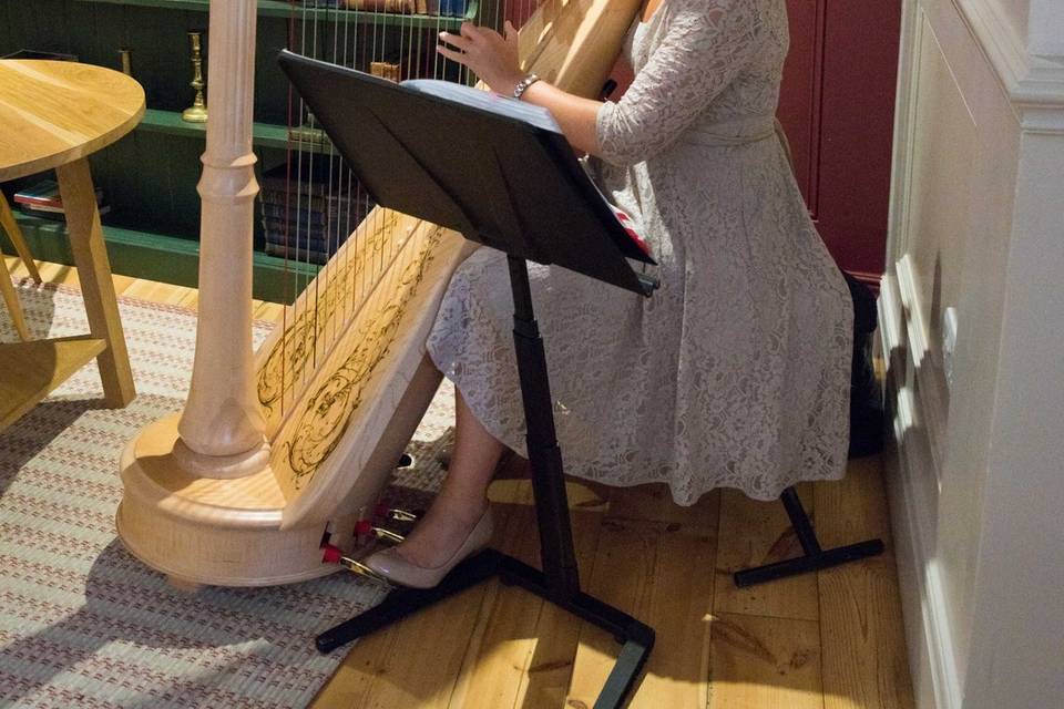 Nicola Veal - Harpist