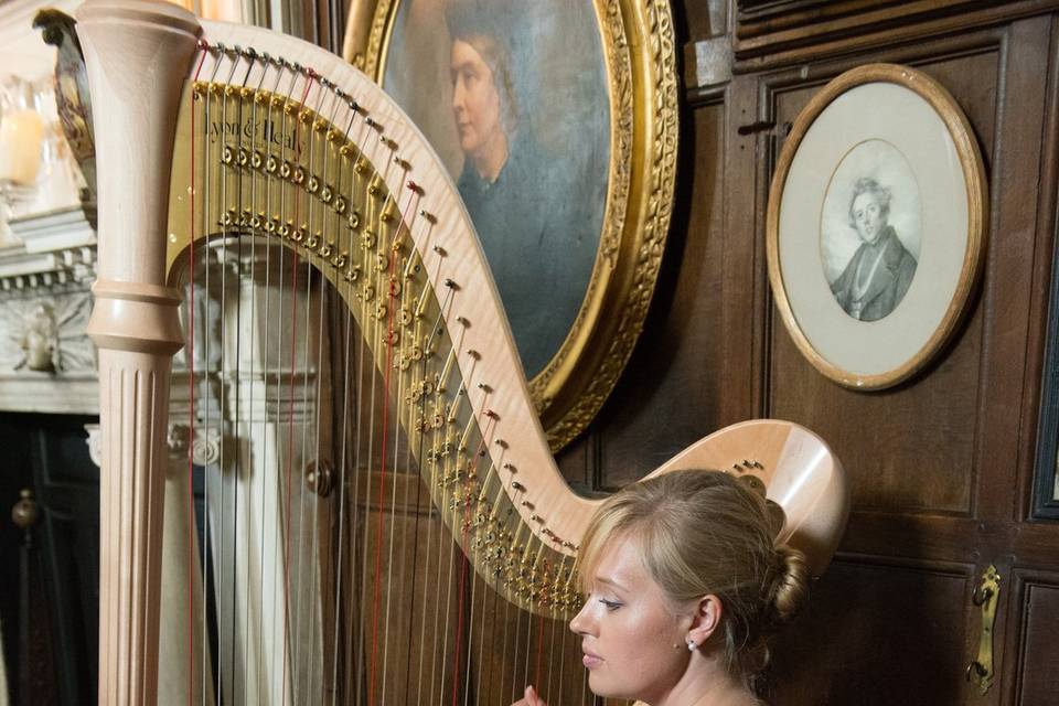 Nicola Veal - Harpist