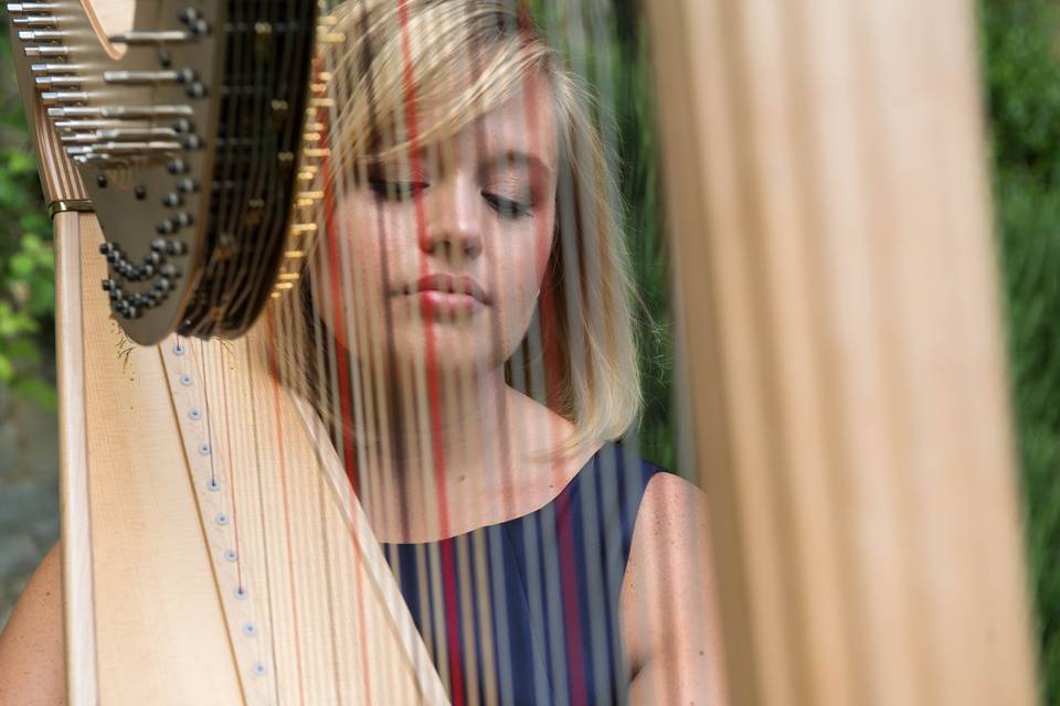 Nicola Veal - Harpist