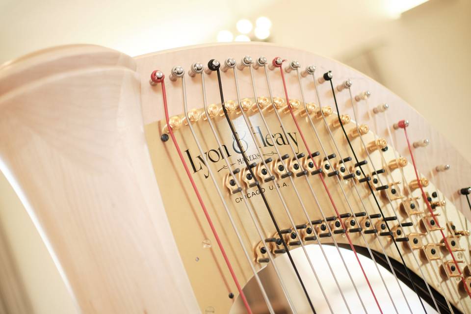 Nicola Veal - Harpist