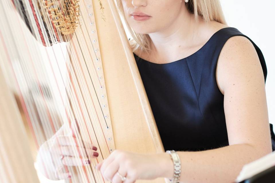 Nicola Veal - Harpist