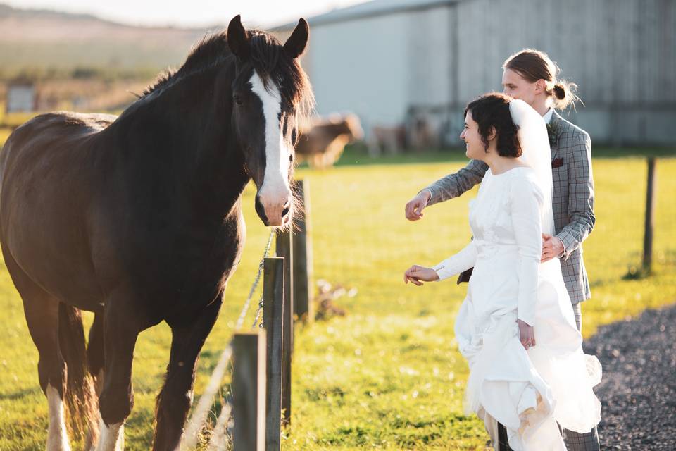 Farm Wedding