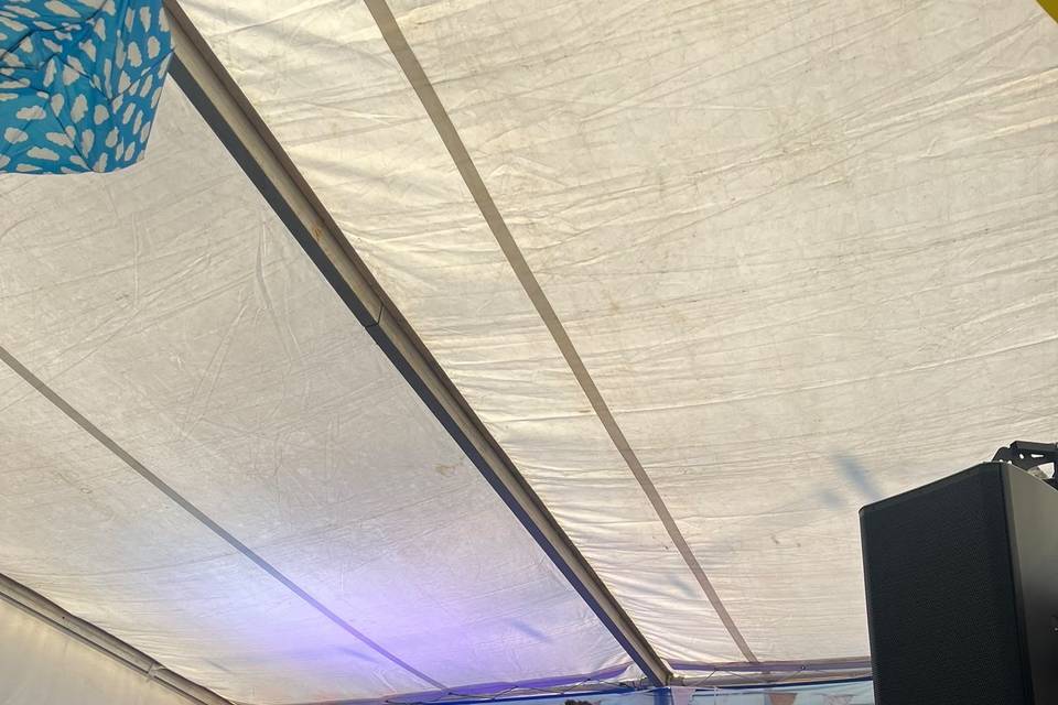 Festival 2