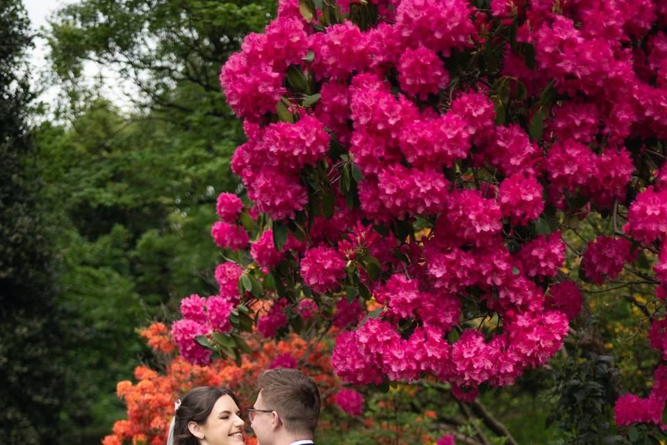 Flowers in Bloom