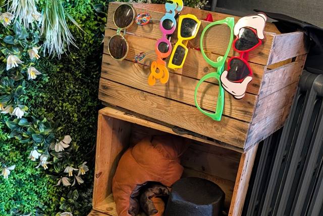 Quirky Selection of Props