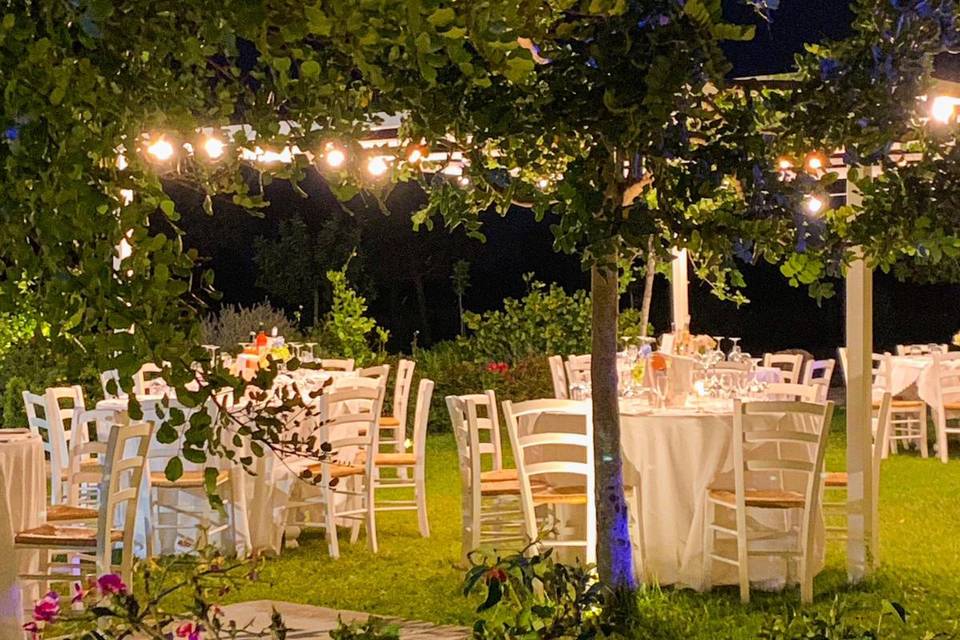 A perfect setting for your day