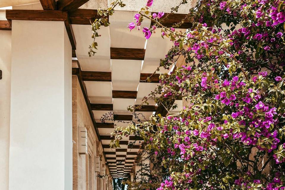 A perfect setting for your day