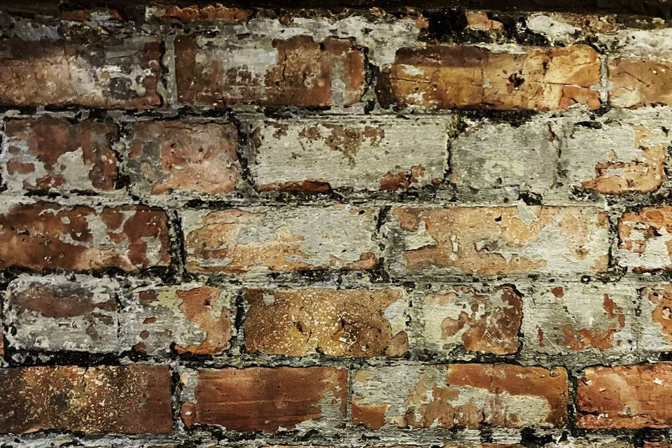Our famous bricks