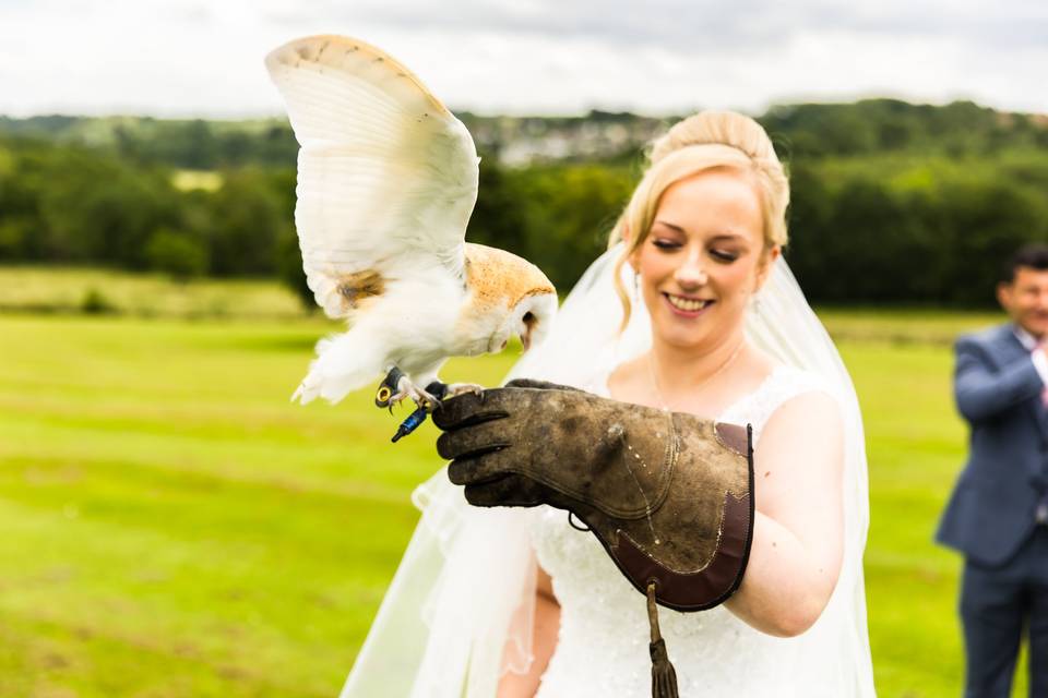 Owl at wedding