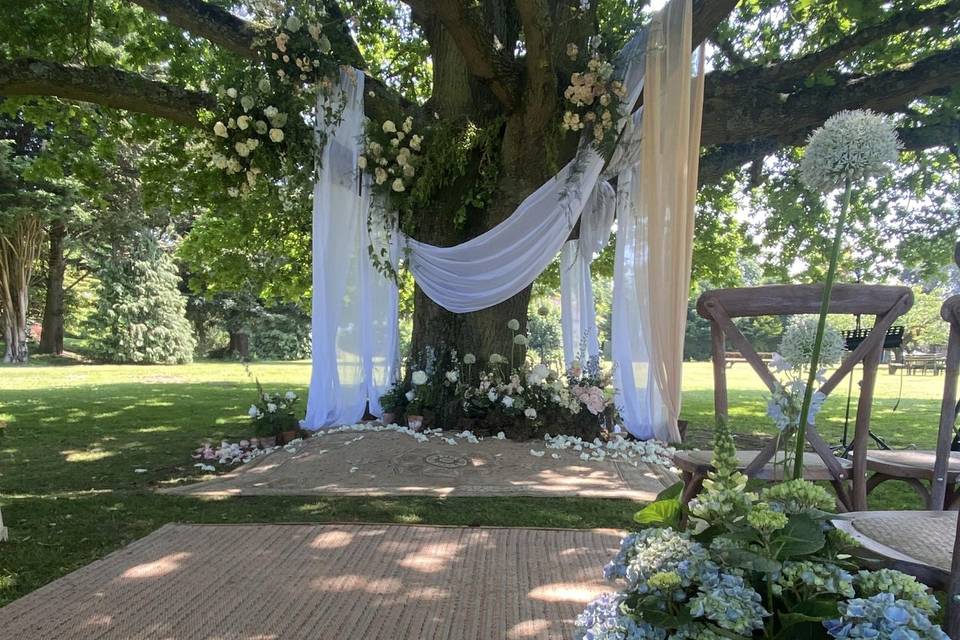 Ceremony Tree