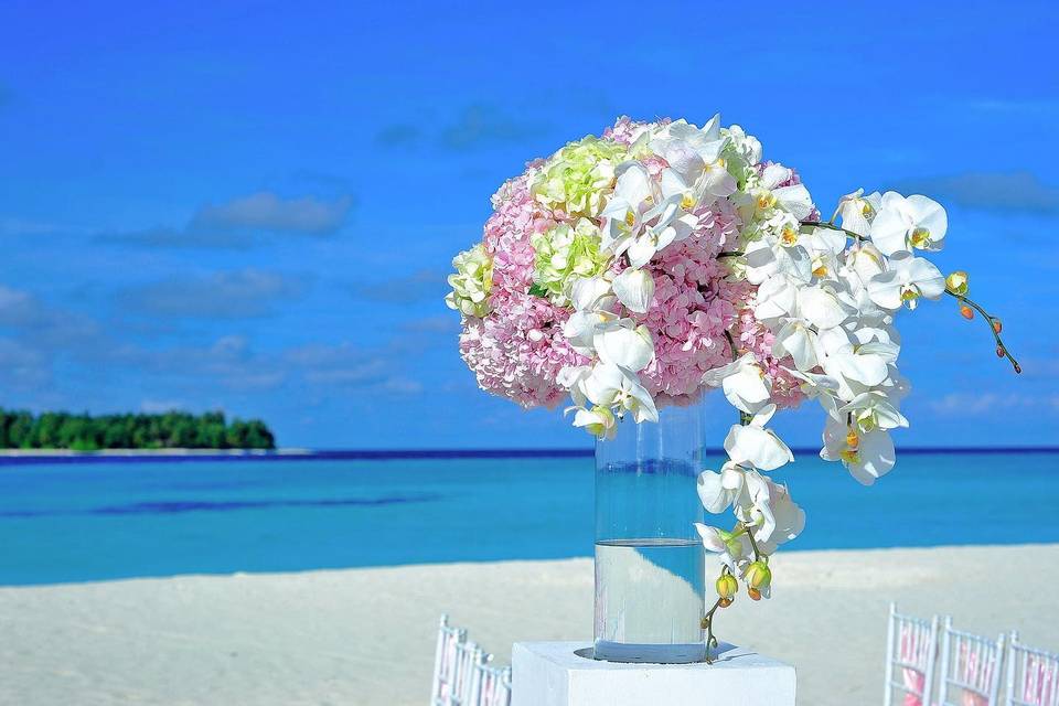 Beach flowers