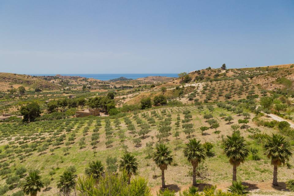 Sea view