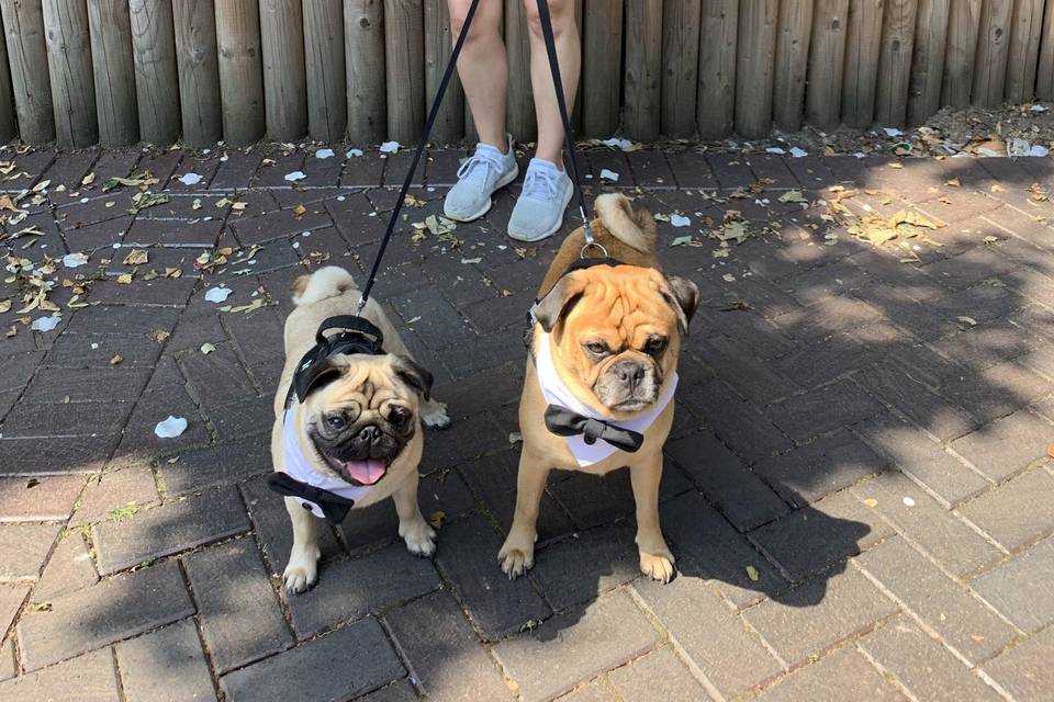 Jess with Lenny & Arnie