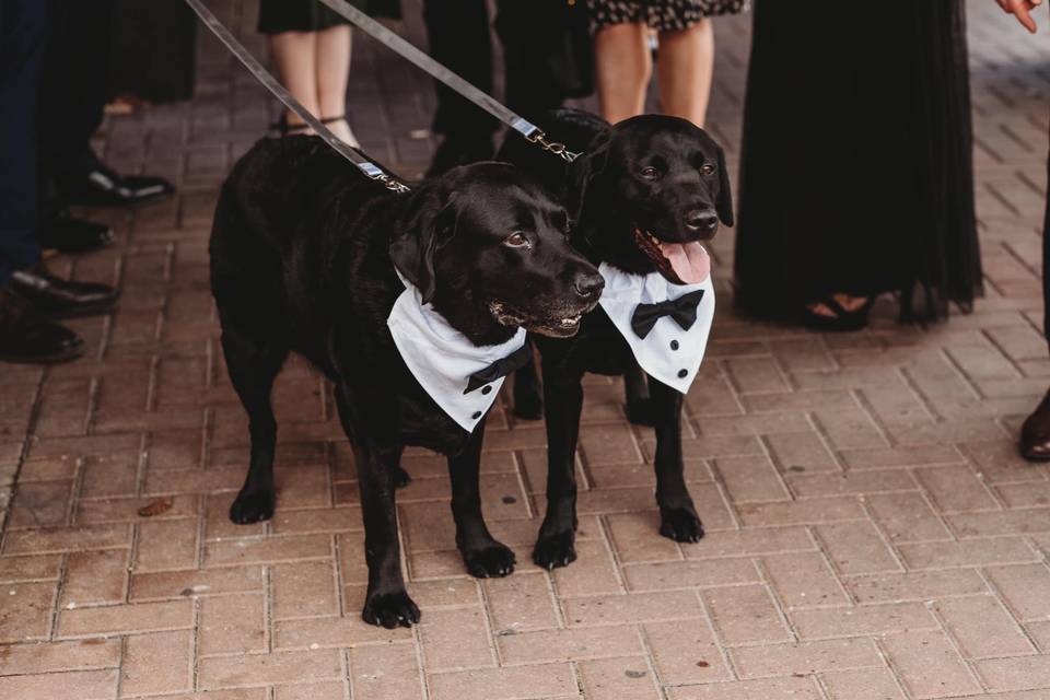 Doug & Larry in their bow ties