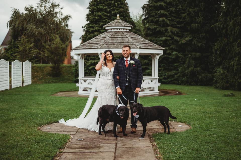Wags & Whiskers Weddings