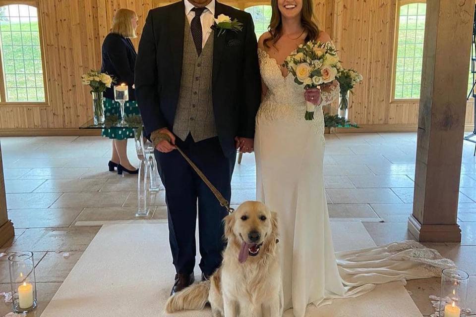 Wedding Chaperone for dogs