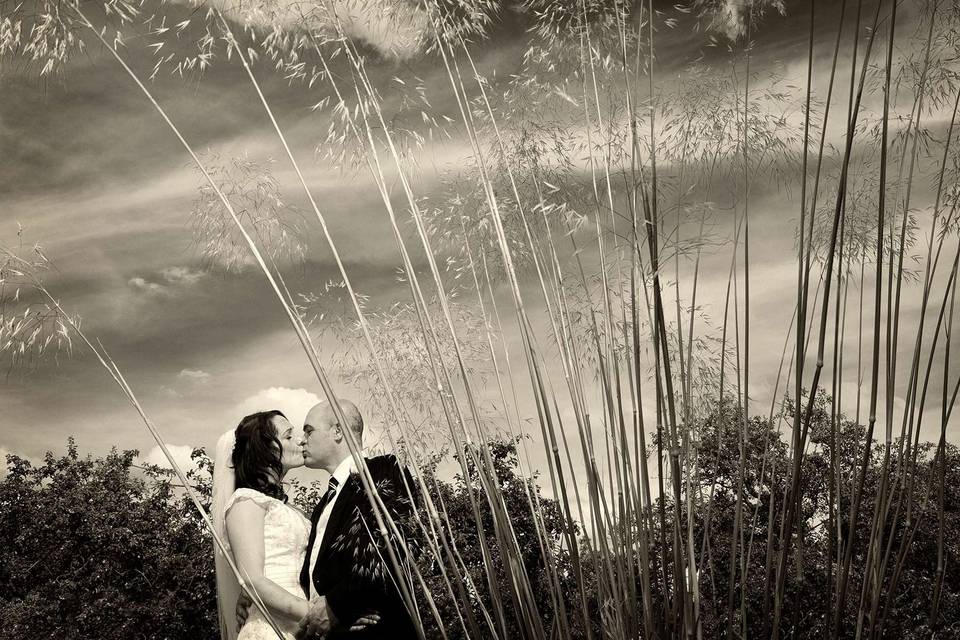 Bride & Groom portrait