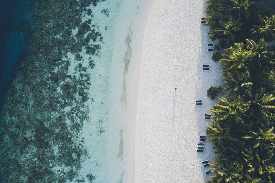 The Maldives