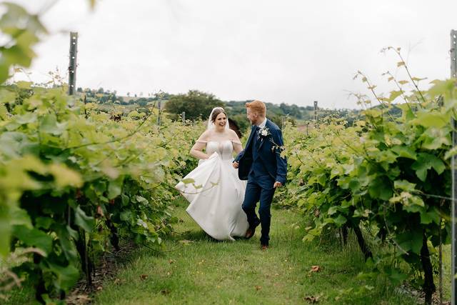 Vineyard walk