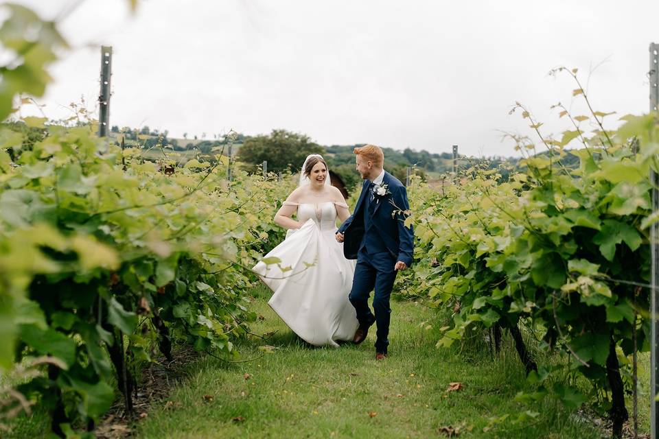 Vineyard walk