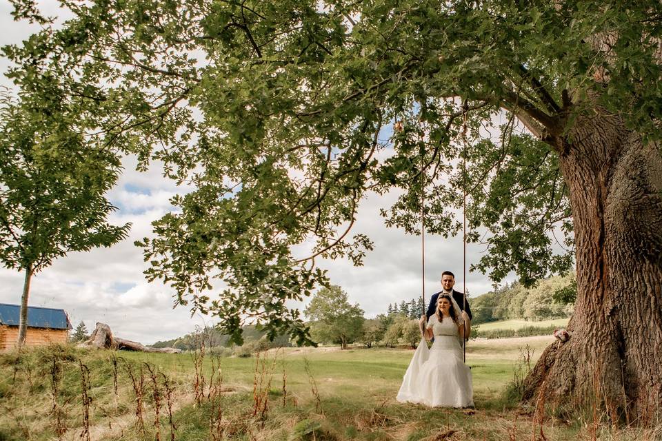 Tree Swing