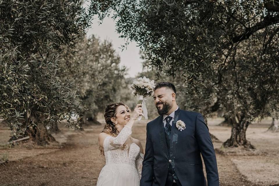 Newlyweds among the olive tree