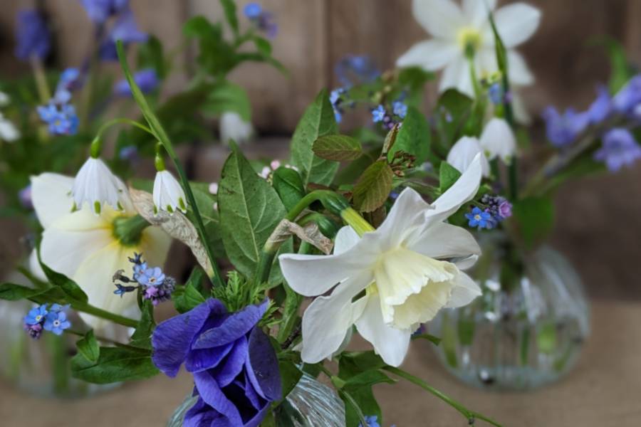 Spring Bud Vases