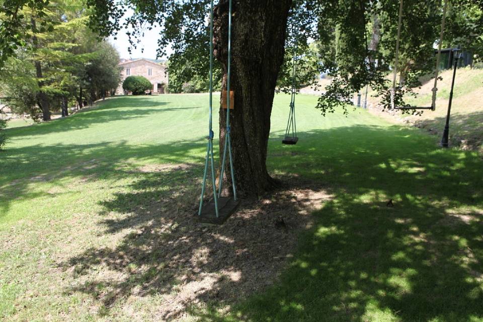 Swings at the marple tree