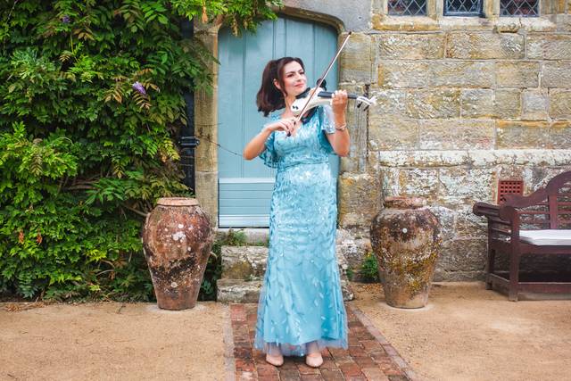 Wedding Violin