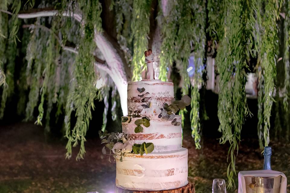 Wedding cake under the weeping