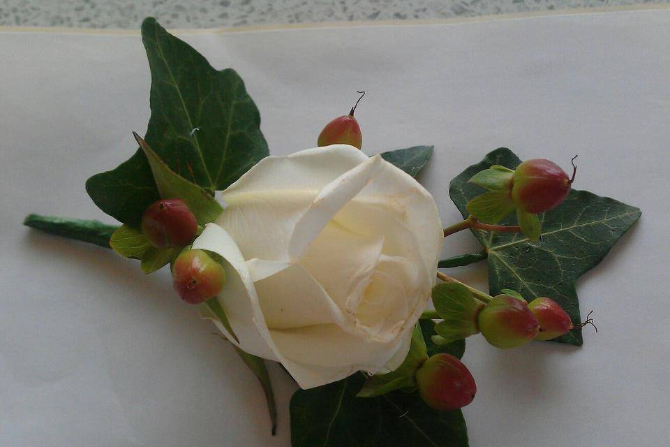 White Rose and Hypericum Butto