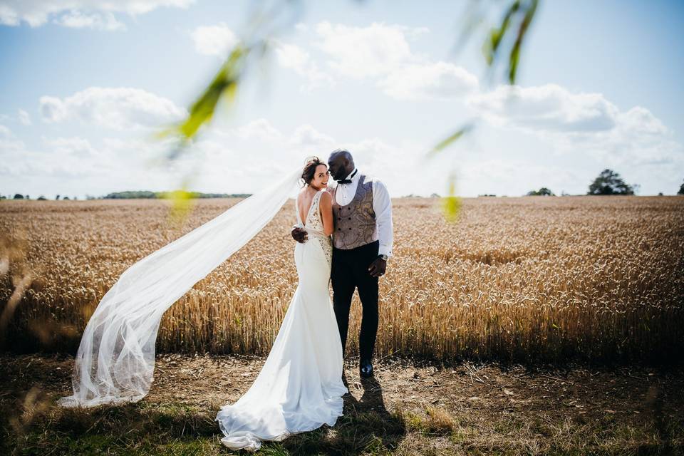 Cornfield