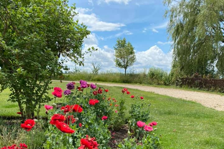 Colourful Gardens