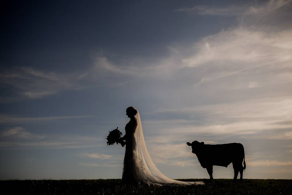 Bride Portrait