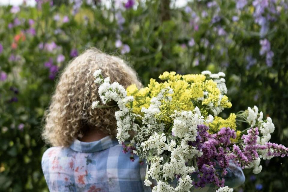 Harvesting flowers