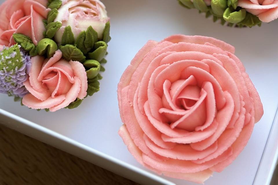 ’Coral Rose’