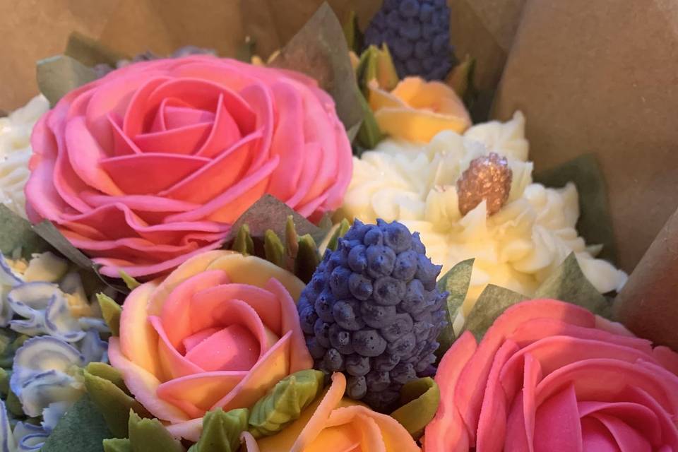 Coral Splendour