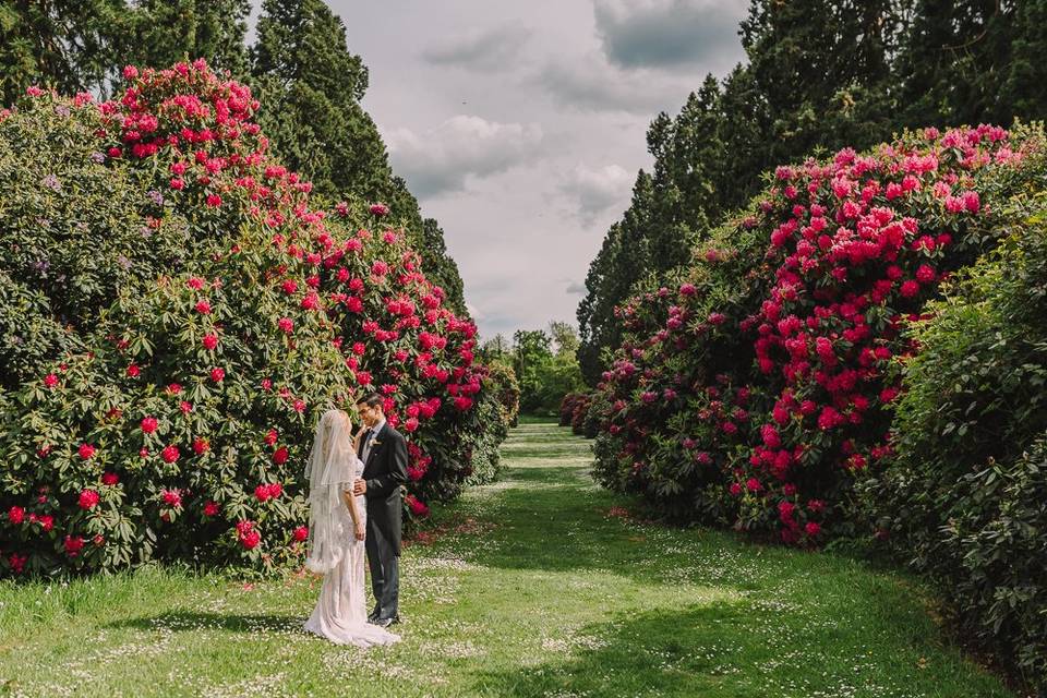 Rhododendron walk