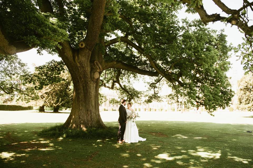 Queen victoria's tree