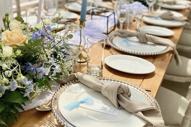 Charger plates and napkins
