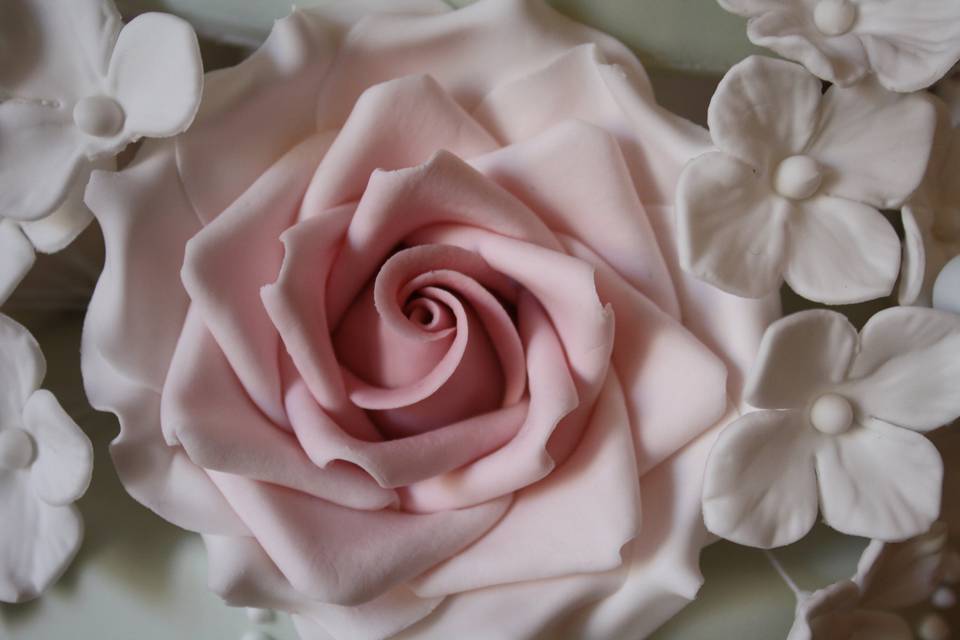 Flowerpaste rose