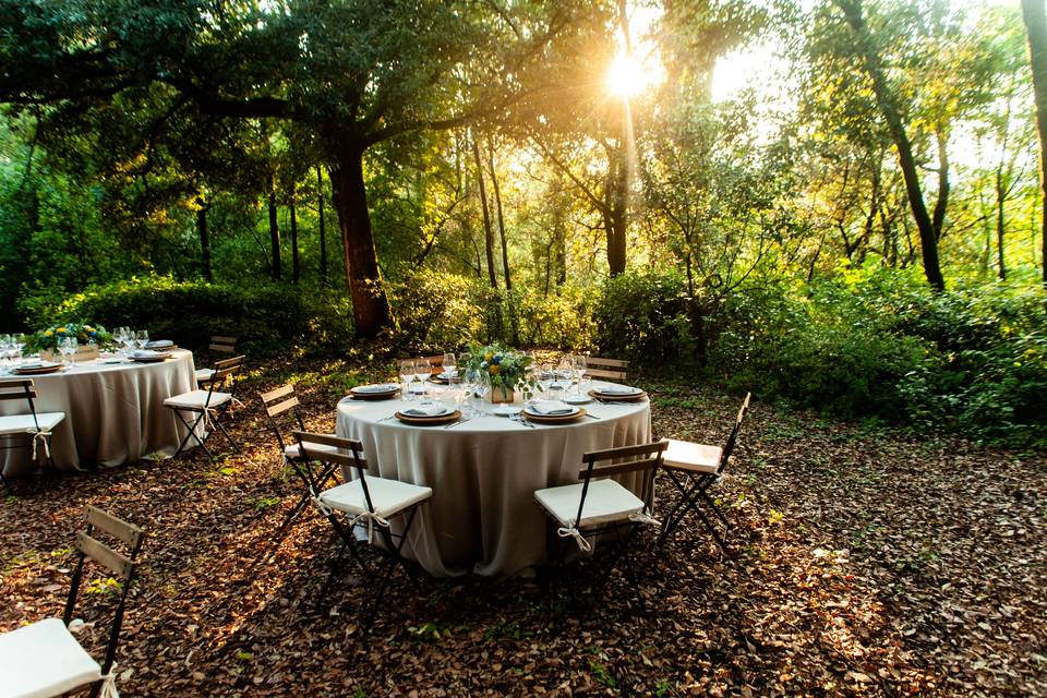 Dinner in romantic garden