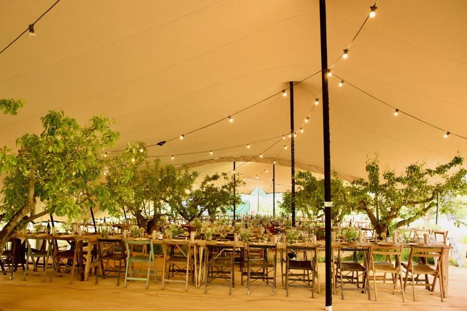 Marquee Hire TentStyle 19