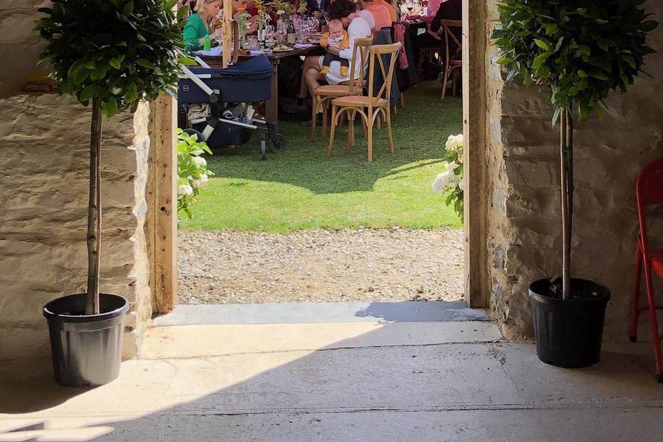 Walled garden🌿