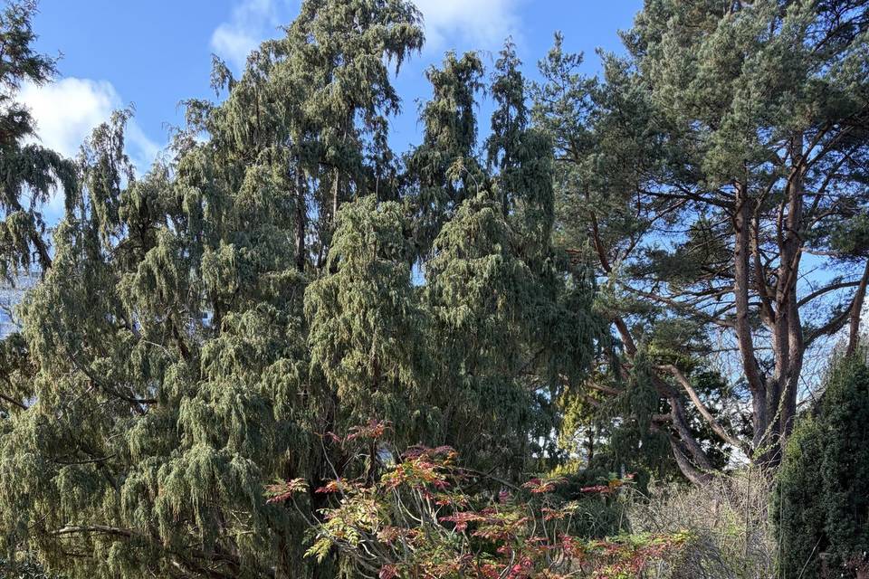 Botanical Gardens