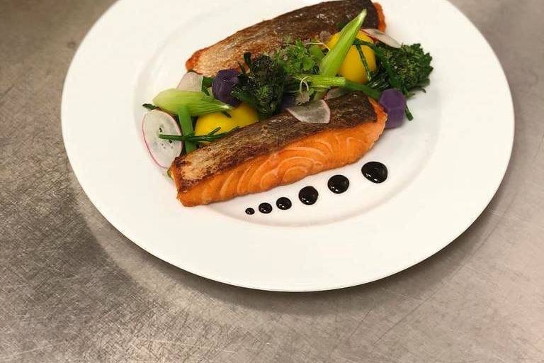 Salmon