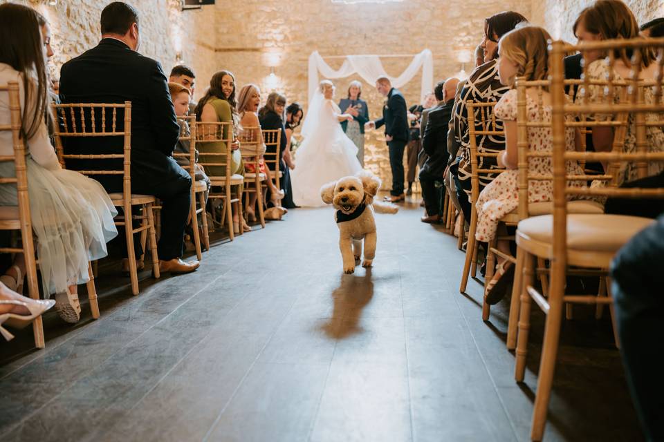 Dog Friendly wedding